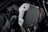 Picture of Evotech Radiator Guard - Triumph Trident 660 (2021+) 