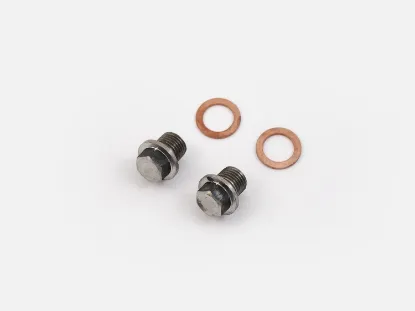 Picture of TEC Bikes Pair of Air Injection stainless blanking plugs